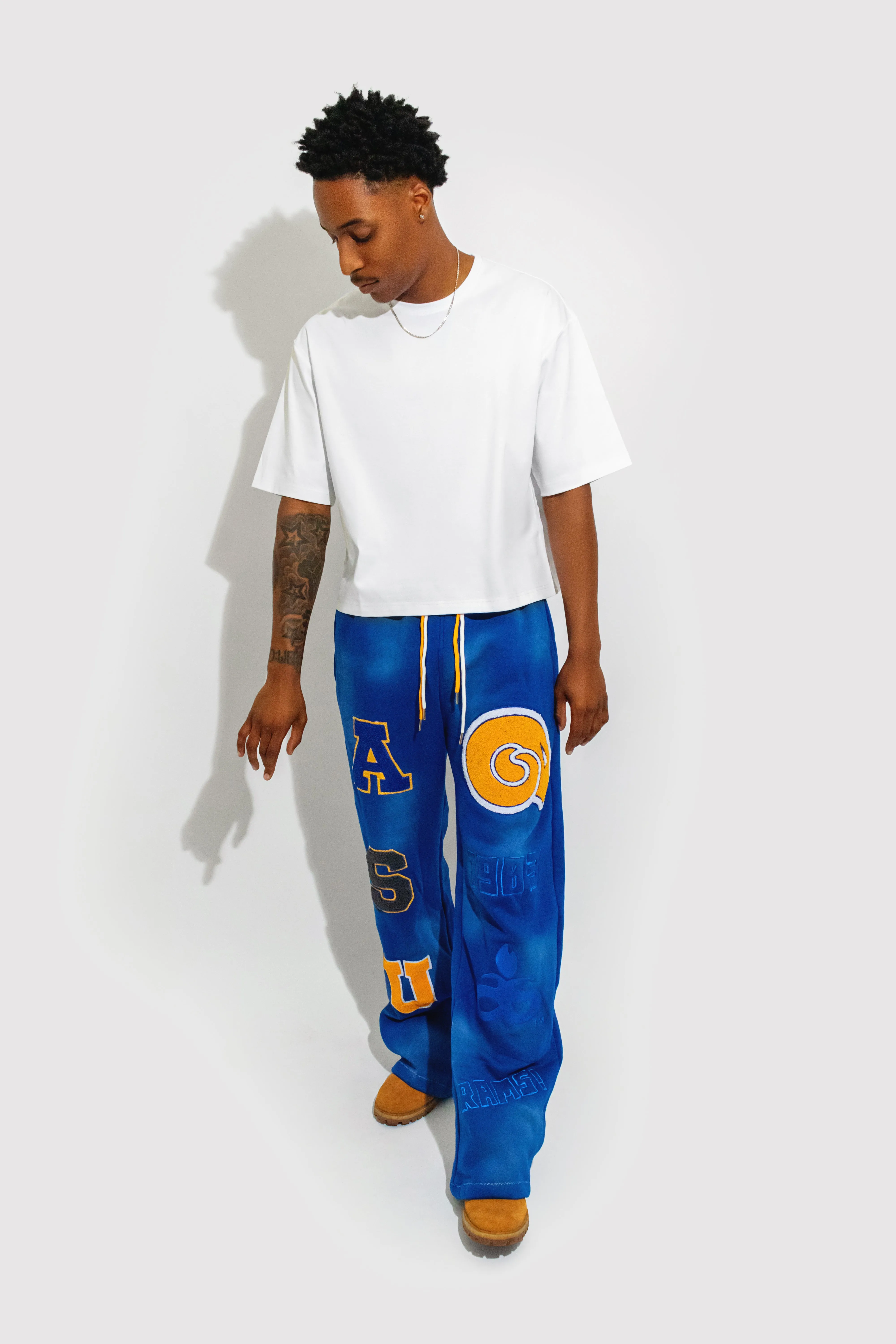 Albany State Sweatpants